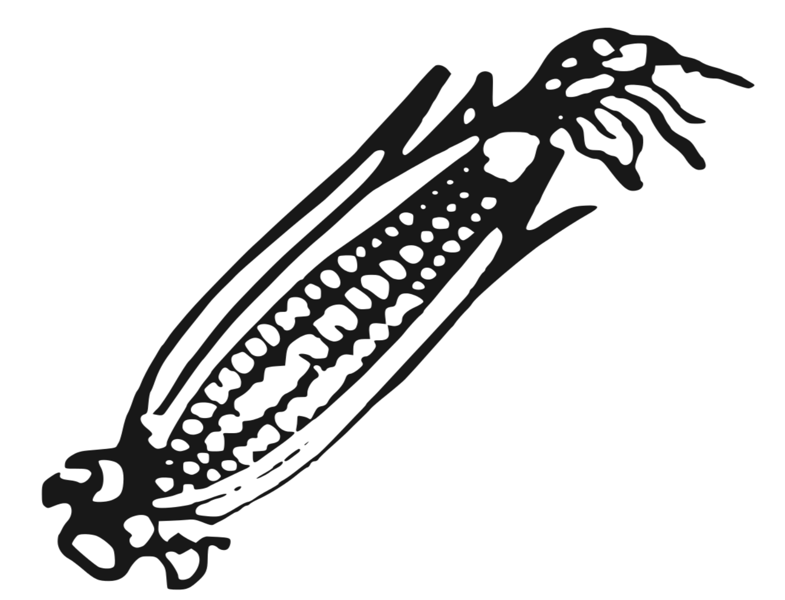 PPA symbol